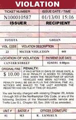 misdemeanor ticket